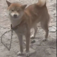 ˹ʱҽƭȥµһ±ƣû˿