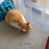 èԲȣС˵ˣȴæŲȣ