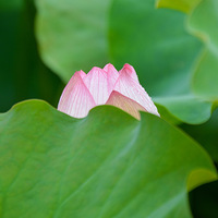 Ω���̺ɺ����̣����濪�������档