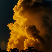 ȥ�����⣬�������ƾ����档