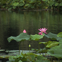 ����������