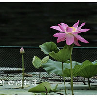 ��î������������������