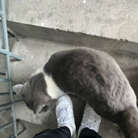 ɰ׵ܵ