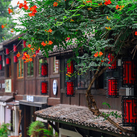 ������Ҫ�����ˣ����黹��û�п�ʼ��