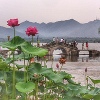 ��ӳӿ����