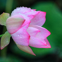 ���кɣ�3��