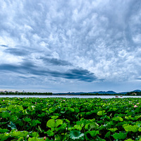 ����������Ʋ���ƻô�Ƭ  2023.06.26