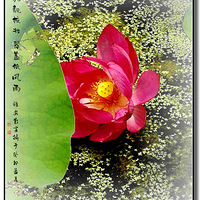 ��ܽޡ��ʫ��