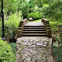 ���ĵ�С��