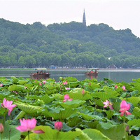 �����ɻ����º죨�£�