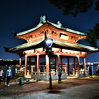 �����������ͤҹ������