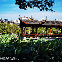 ÷�����������ºɻ�