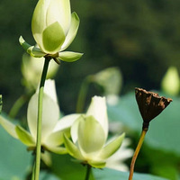 �ļ��������ࡱ�����Ǽ�סǧ�����ȣ�