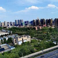 �����Ǹ������