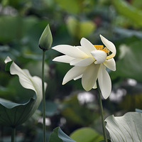 �������ġ�����������