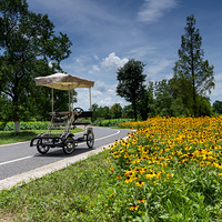 ��������µ������ַ��԰