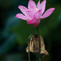 ���������ºɻ�����