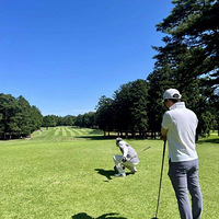 �������飬�ǳ�����