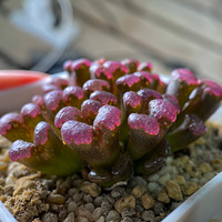 ������̬һ��Ҫ��ƽ