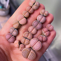 �ļ���������ע�����������һ��