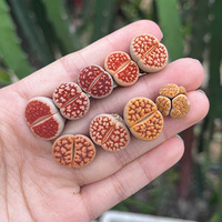 �ļ���������ע���������