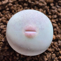 �ļ���������ע���������