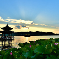 ��������ͤ�ɻ���ϼҹ������