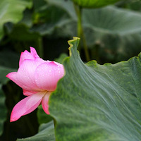 ����ɣ�5��