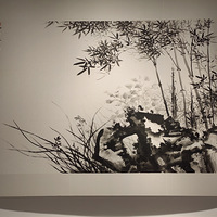 īȤ����ѧ��