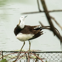 ���������˲���