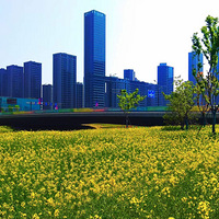 ���˴���Ͳ˻�