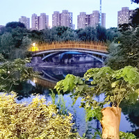 ������ҹ��