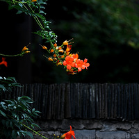 ��������֮��