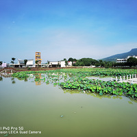 ���꽨�´��������Ҷ�ĺɻ����ú�