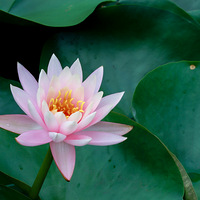 ���˶�ʵ�˯��