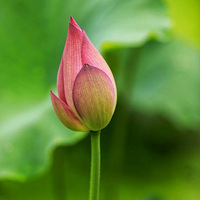 ����ɣ�6��