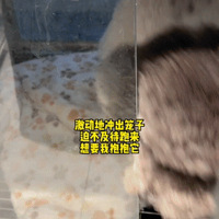 Ĺȴϲˣʵϡᣡ