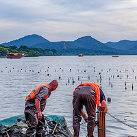 ����������Ȫͣ�����꼴���������ţ�2023.07.03