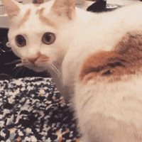 ˲СĴŮѻױƷץСèѣȻèĵ