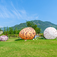 �㽭��ũ�塰δ����塱�Ľ�������  ���� �����ຼ��ɽ��(��)