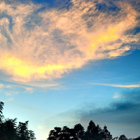 ����ˮ��Ϧ����