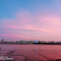 ��ϼ��쵣�������