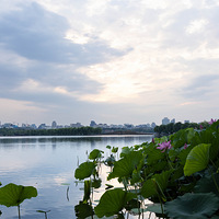 ���պ�����