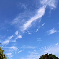 �Ͻ���԰��С����