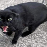 һèȥջһֻ׵èСè䣺ʵֻ