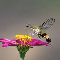 ������ĳ�๷�ꡣ