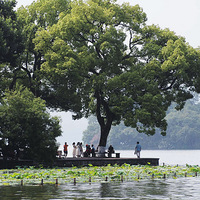 �߹�����