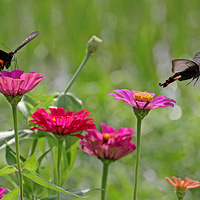 ���а���������&���վ�