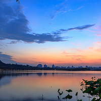 ������ɫĺ���ơ����ź�ͤǰ�ĳ�ϼ