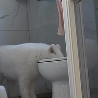 17ϹһΪ˿ϵǹݡȴͻȻ